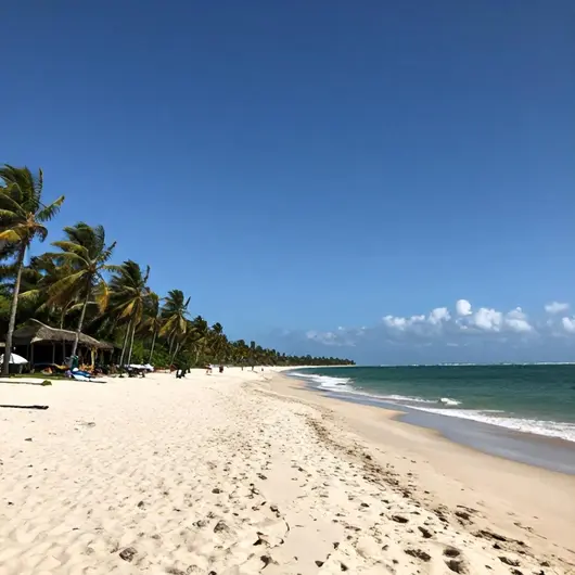Descubra a Asa Branca Beach Descubra a Asa Branca Beach