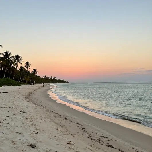 Descubra a Beleza da Praia do Saco