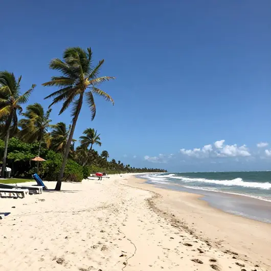 Descubra a Natural Tour Agência de Viagens