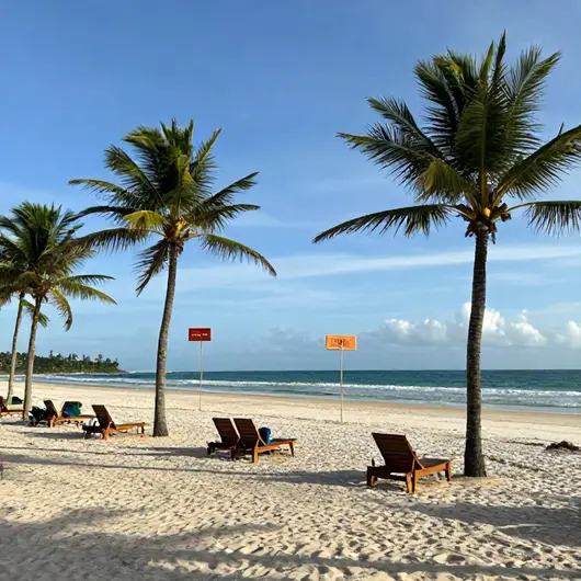 Descubra a Praia do Saco ou da Boa Viagem