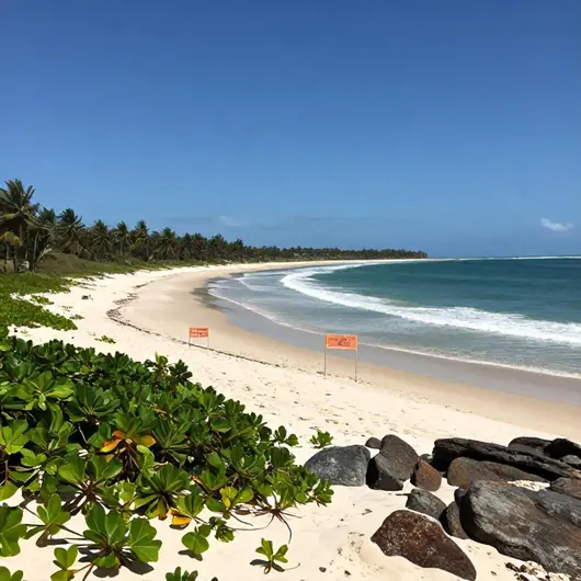 Descubra as Praias do Local Estância