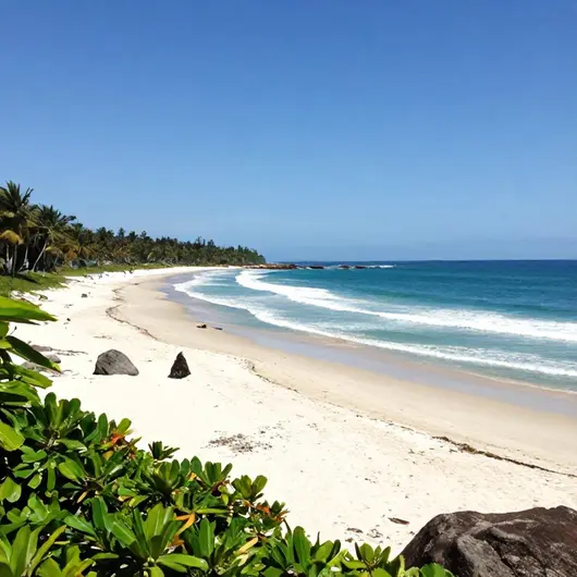 Descubra as Praias Descubra as Praias