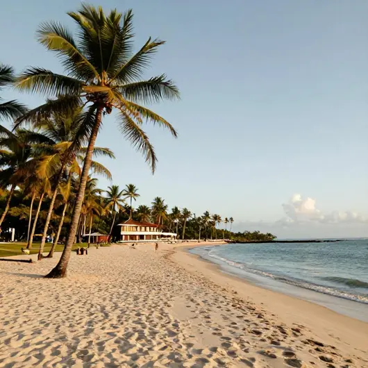 Descubra Unidos Turismo Aju