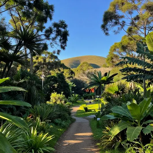 Melhores parques e trilhas em Estância: 4 opções recomendadas