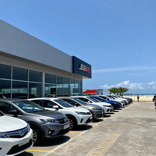 Service Locadora de Veículos
